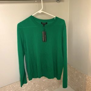 Kelly Green Marino Wool crew neck sweater from Banana Republic